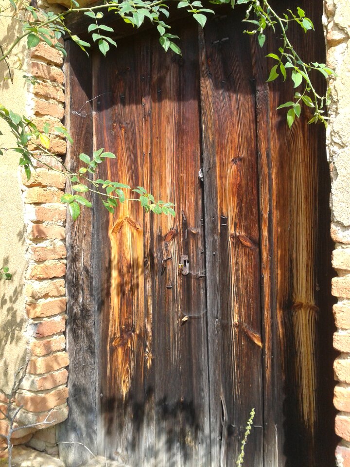 Door guidelines option