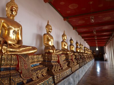 Temple hornets buddha