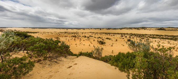 Westcoast national park national