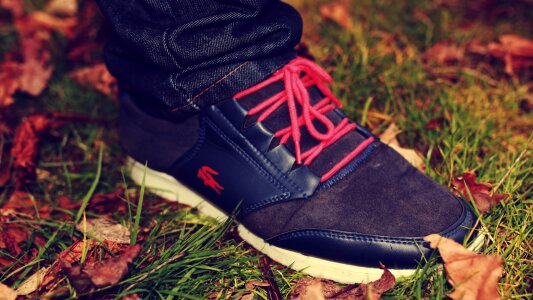 Leaves autumn lifestyle