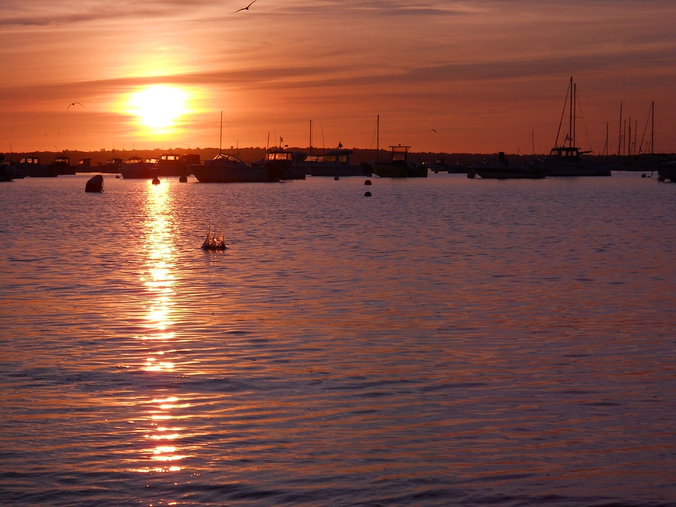 Beach sea sunset