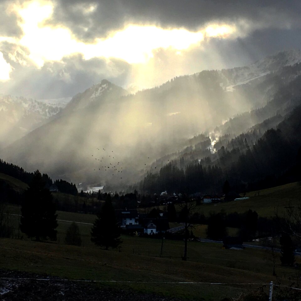 Sunbeam crow landscape