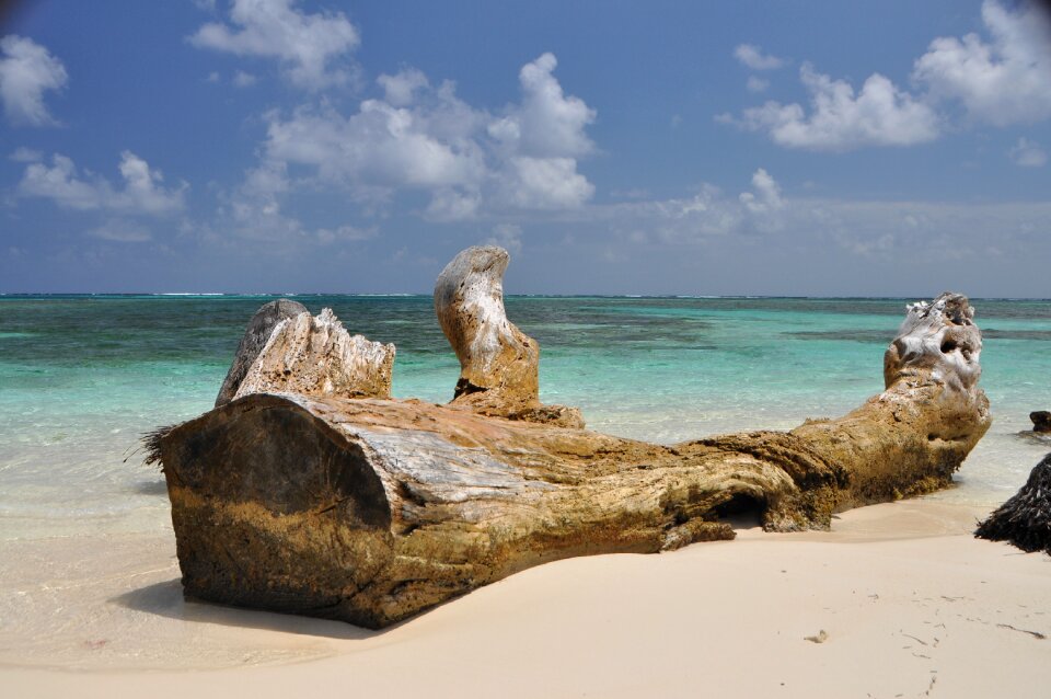 Summer travel holiday