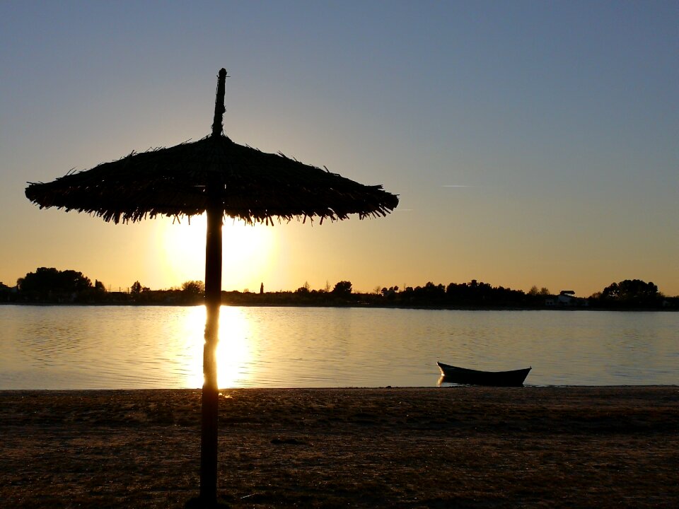 Landscape summer nature
