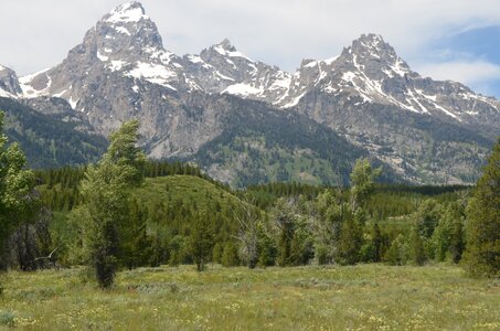 Park teton landscape