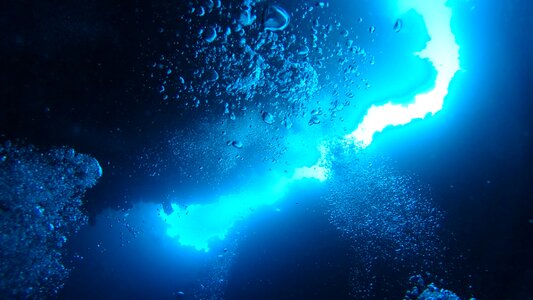 Sea the red sea diving