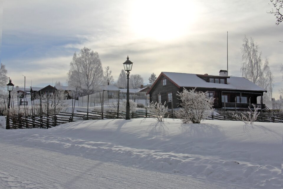 Winter cold beautiful photo