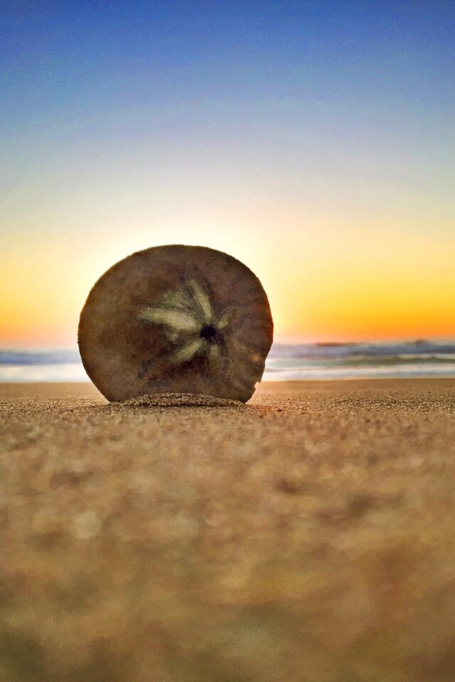 Summer sand california