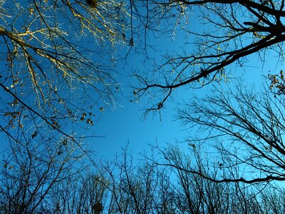 Sky hongluoshi 2017-01-13-05