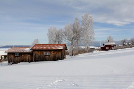 Winter cold beautiful photo