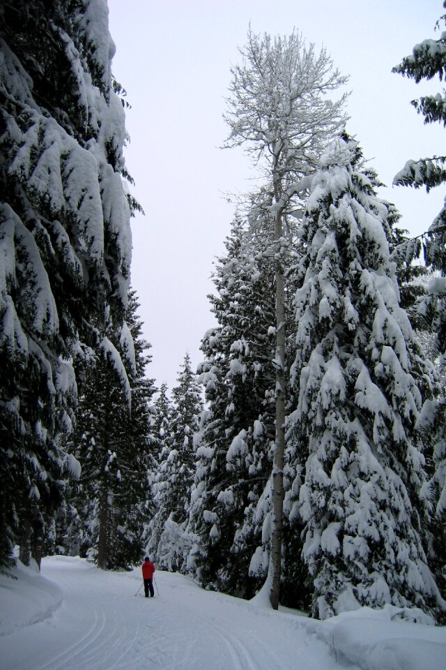 Cold skiing active