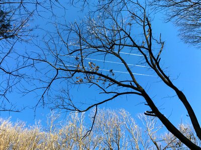 Sky hongluoshi 2017-01-13-06