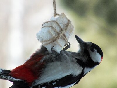 Close living nature natur