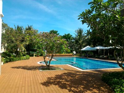 Swimming pool summer sun