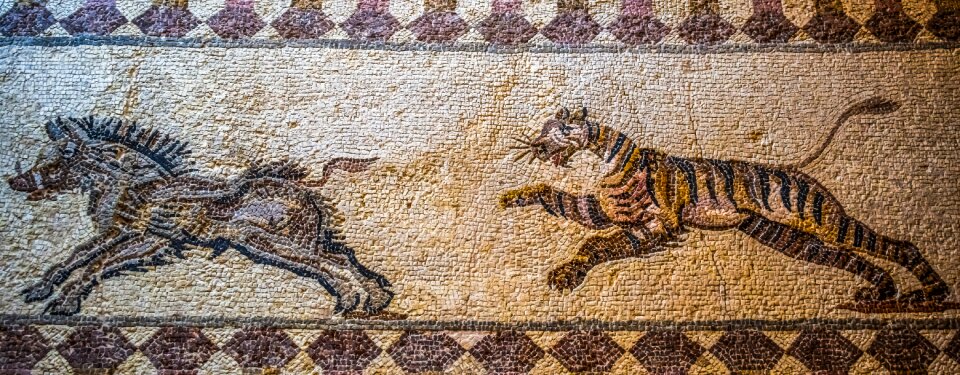 Remains ancient archaeology