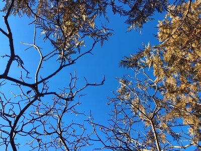 Sky hongluoshi 2017-01-13-04