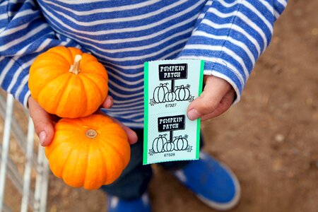 Autumn childhood