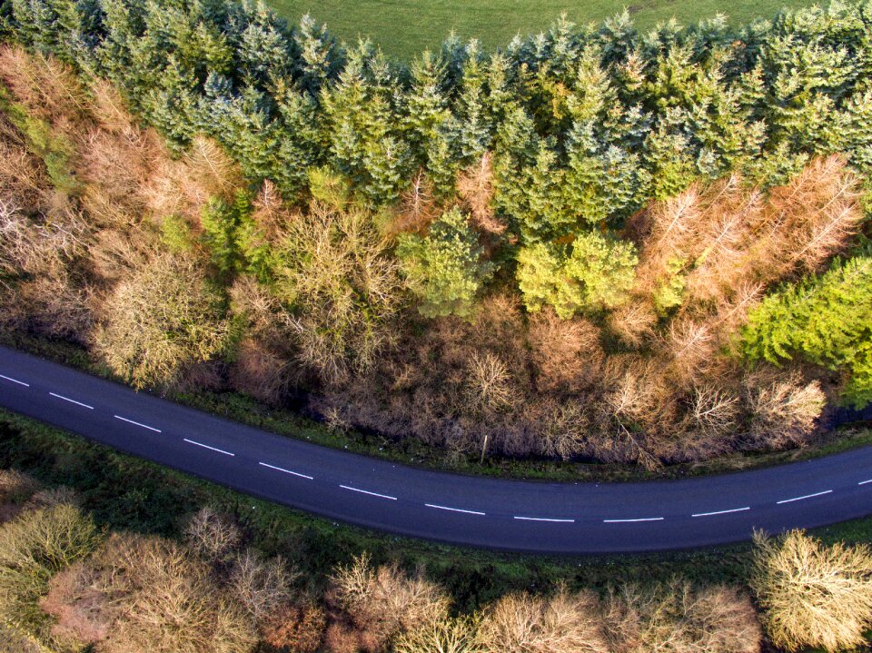 Autumn landscape scenic