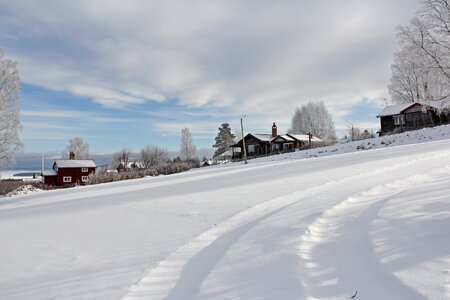 Winter cold beautiful photo