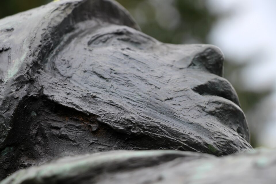 Head statue soldier