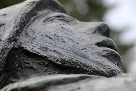 Head statue soldier