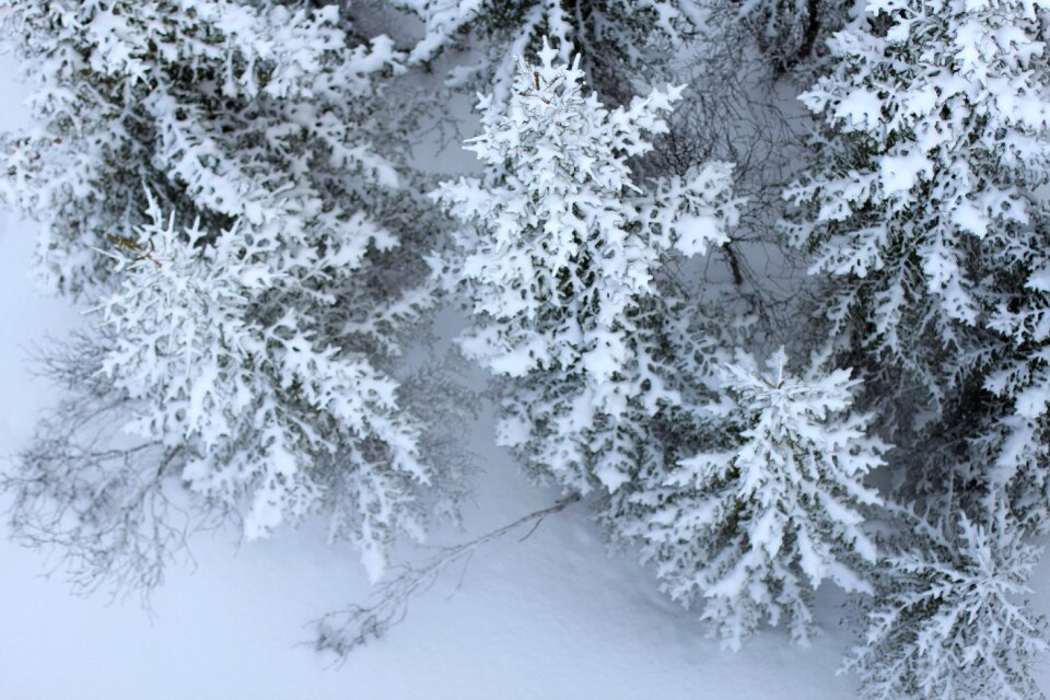 From above winter snowy