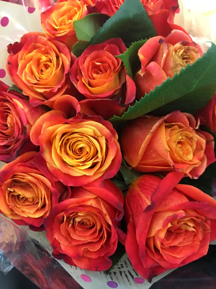 Floral love nature