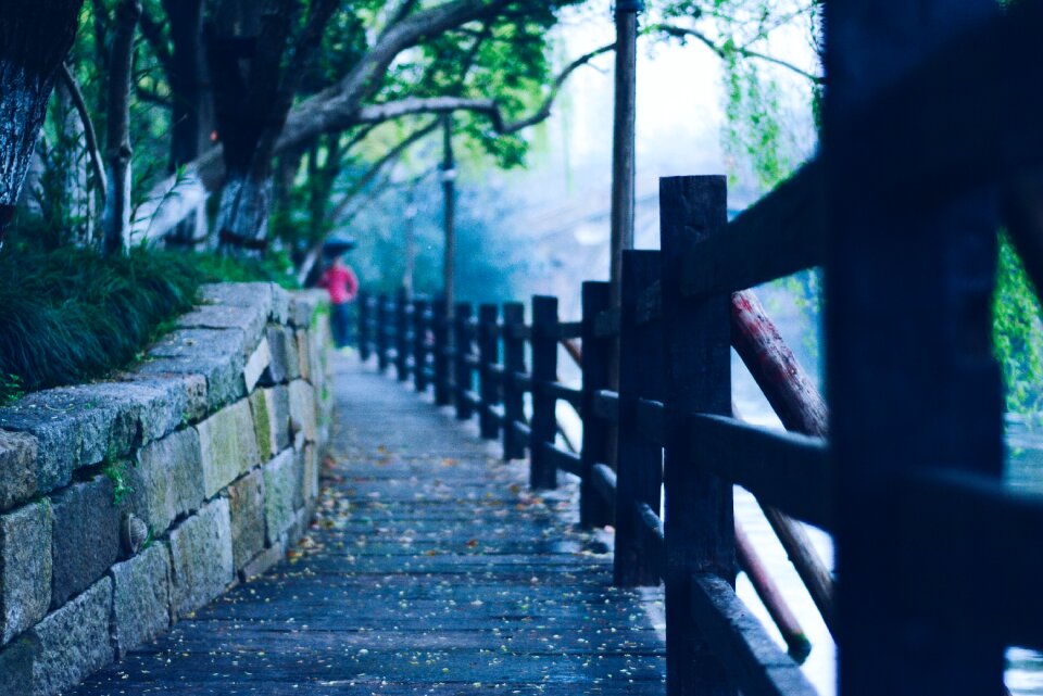 Spring the scenery wuzhen