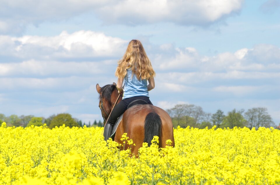 Relationship together saddle