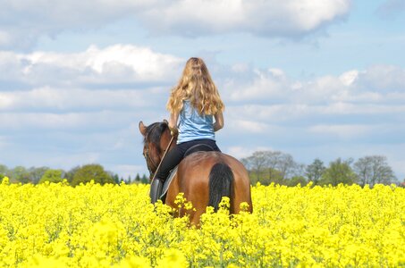 Relationship together saddle photo