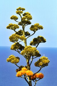Spain island tropical