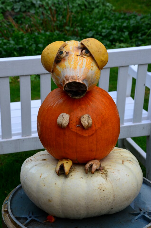 Pig figure autumn