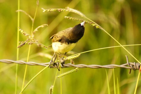 Nature in colombia