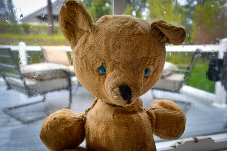 Teddy toy old