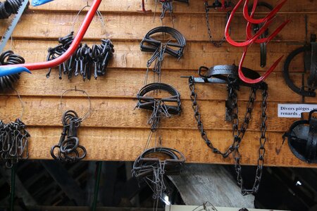 Traps collar hatch