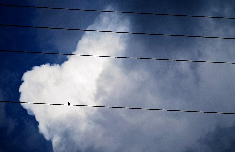 Sky a surname artistic conception