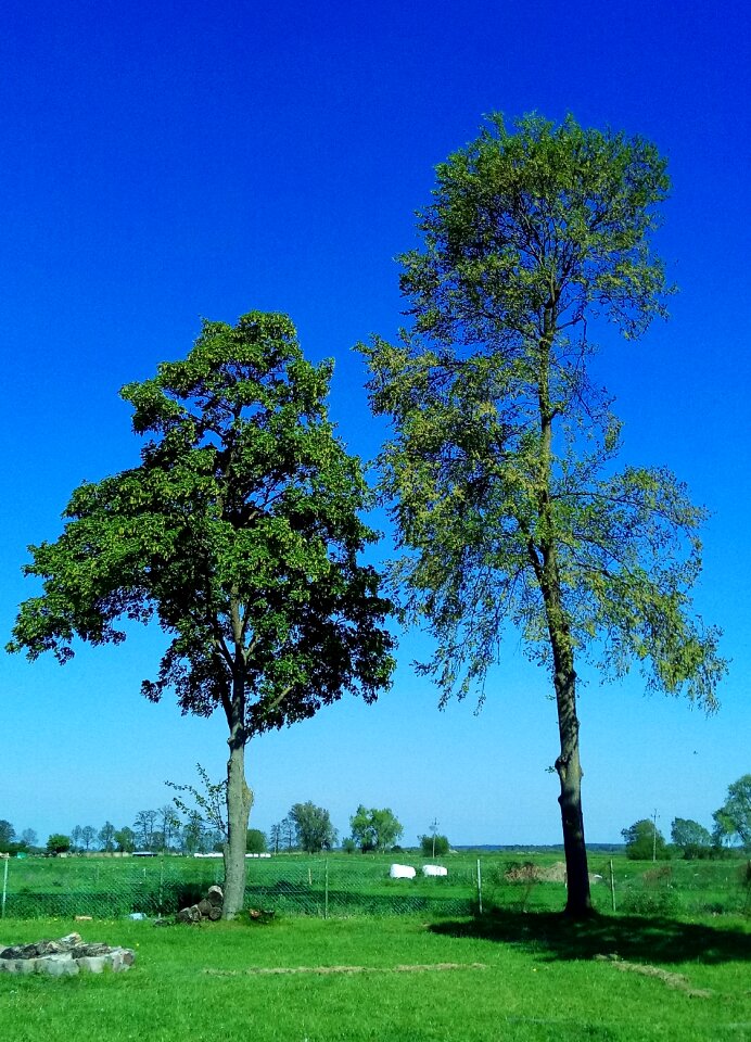 Nature green blue