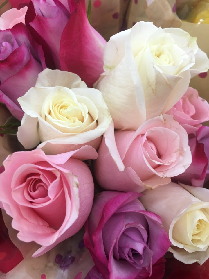 Floral love nature