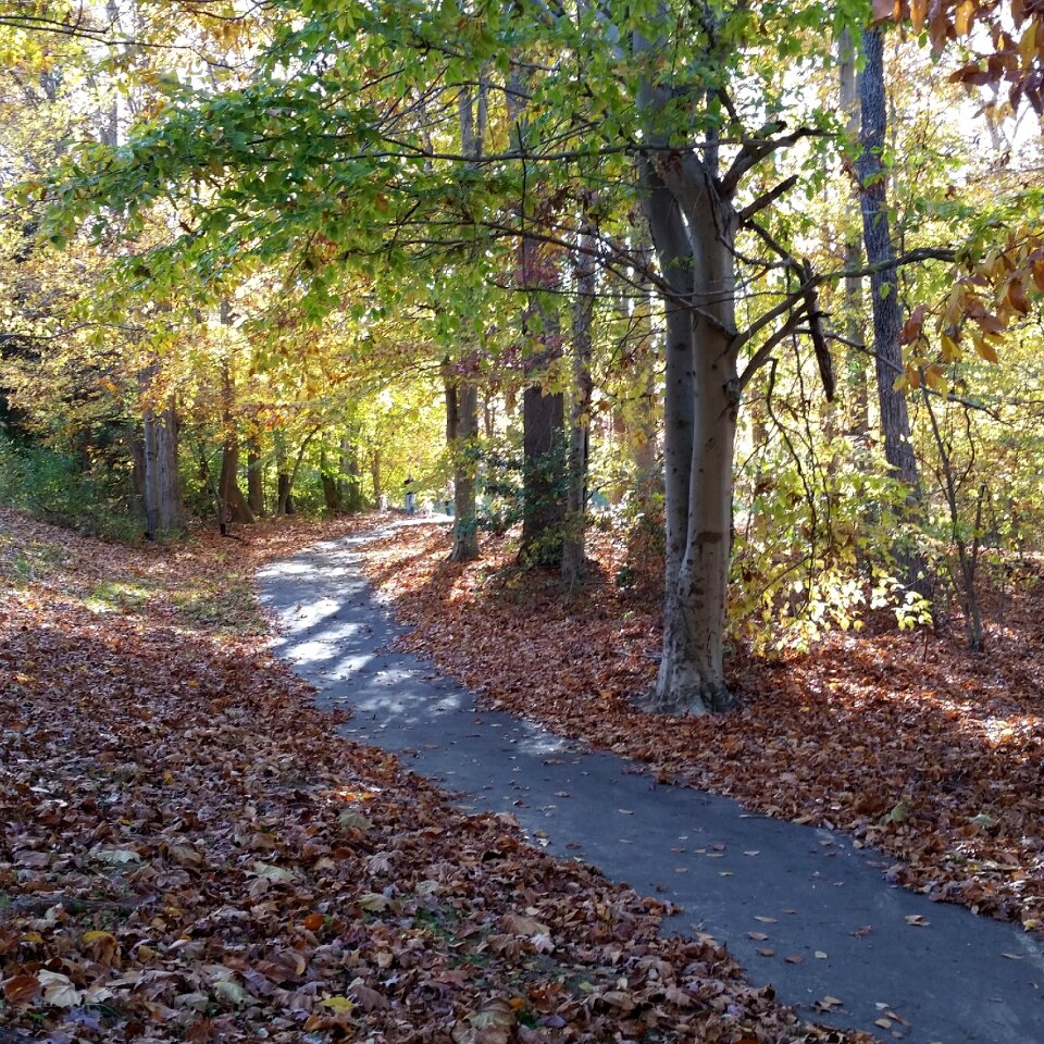 Light fall outdoor