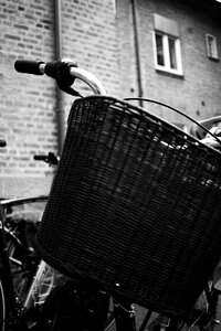 Bicycle lady gray lady photo