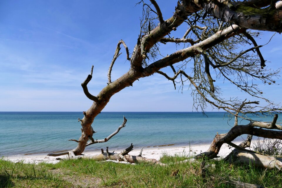 West beach fischland-darss national park