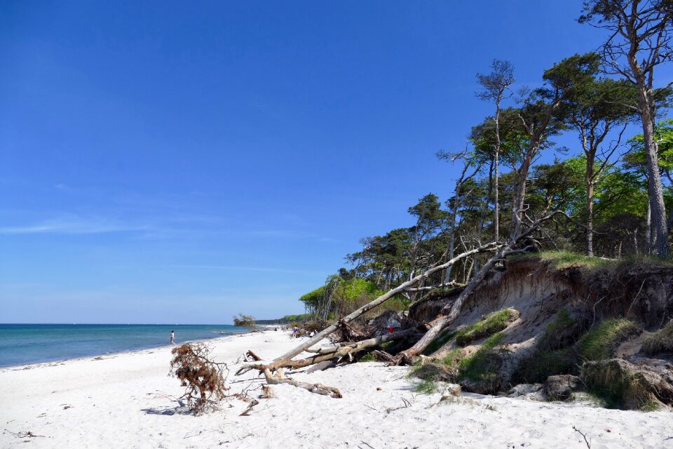 West beach fischland-darss national park