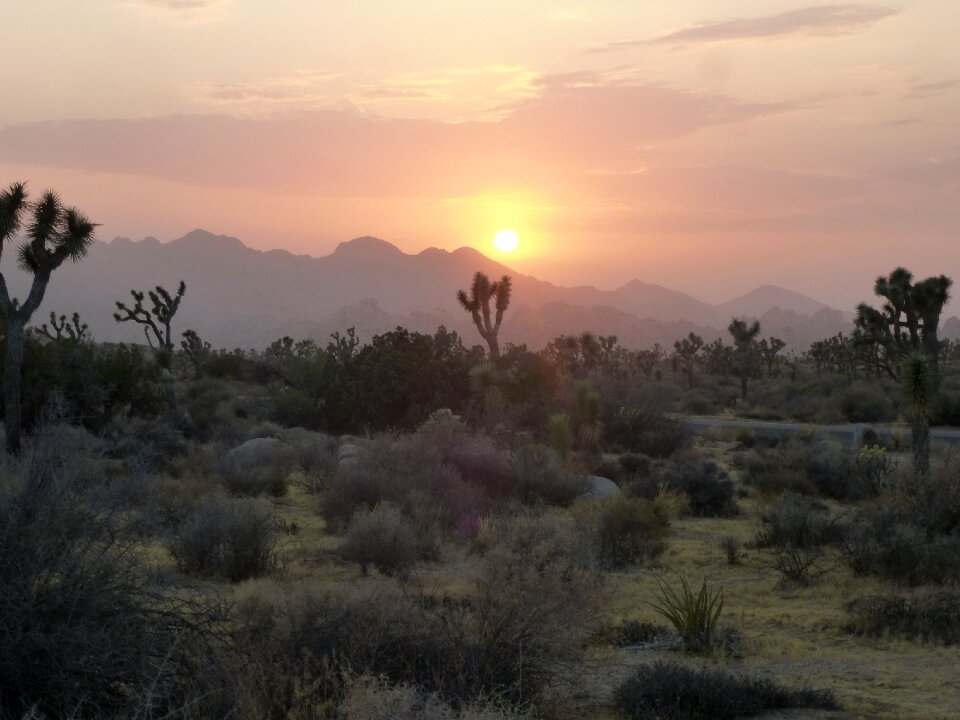 Desert sunset abendstimmung