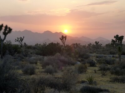 Desert sunset abendstimmung