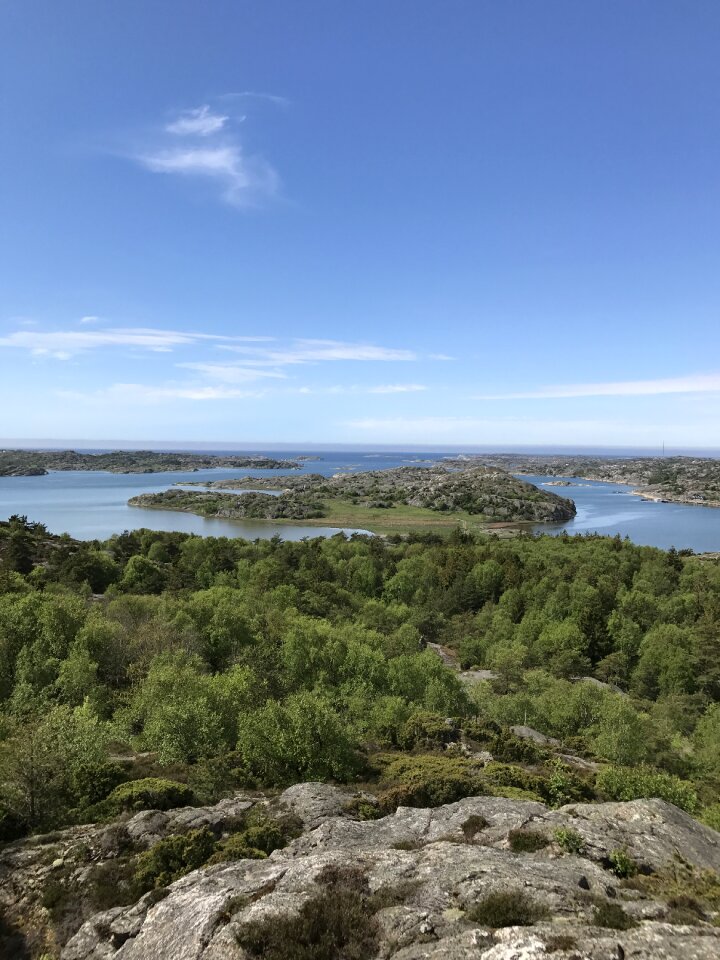 Tjörn coastal summer