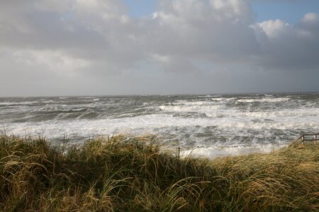 Wave water swell