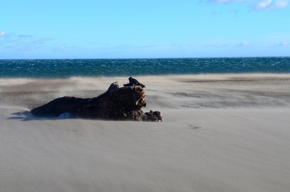 Landscape beach trunk