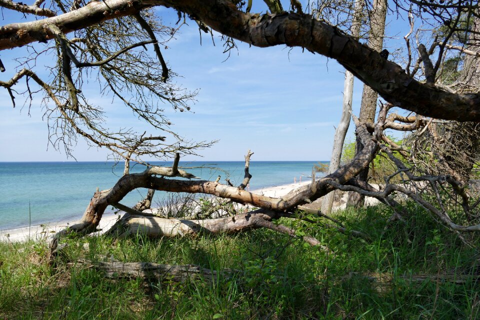 West beach fischland-darss national park