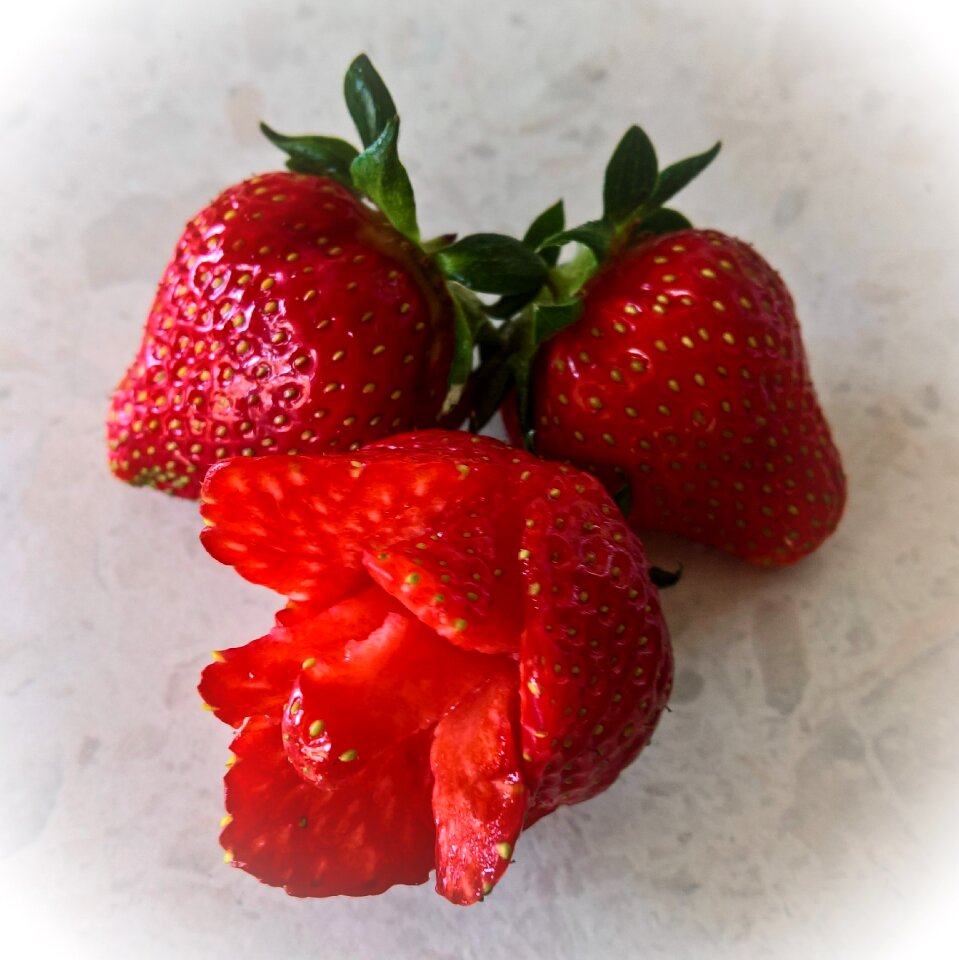 Fruit red delicious