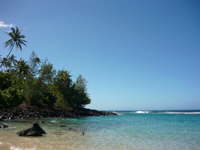 Beach hawaii photo
